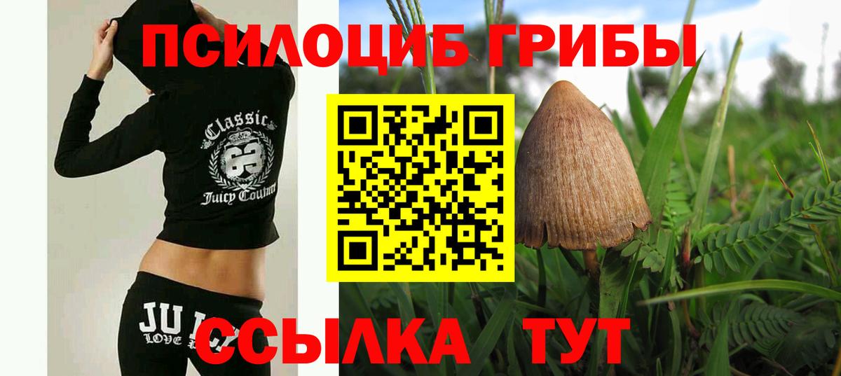 Псилоцибиновые грибы GOLDEN TEACHER Старая Купавна