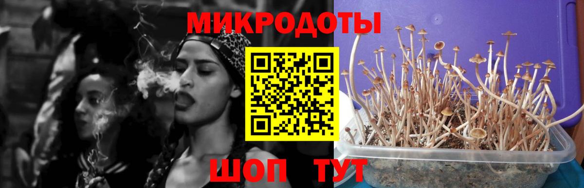 Старая Купавна  Псилоцибиновые грибы MAGIC MUSHROOMS  Вход с VPN 